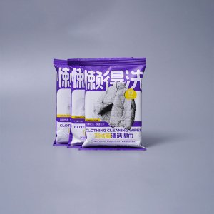 Wholesale Custom OEM Portable 10Pcs Disposable Clothing Cleaning Wipes